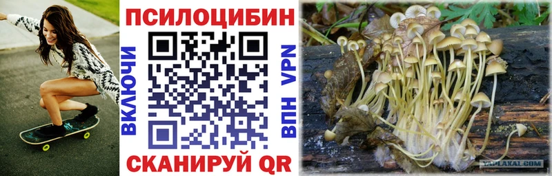 Псилоцибиновые грибы GOLDEN TEACHER Королёв